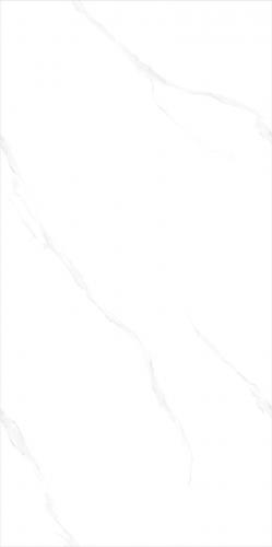 G126801_02