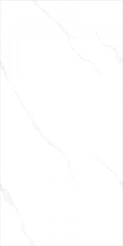 G126801_05