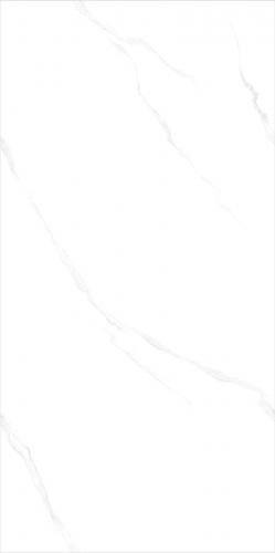 G126801_06