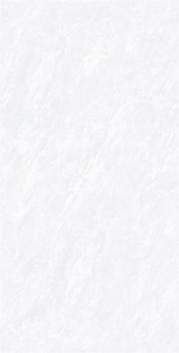G126813