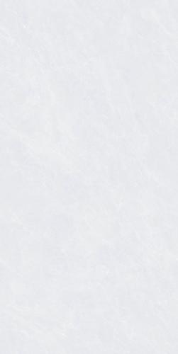 G75826