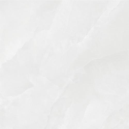 88E919