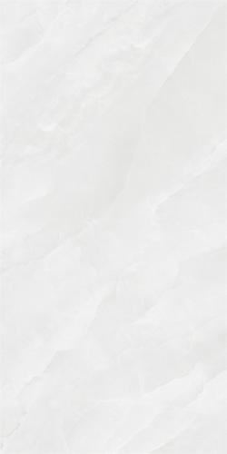 1268919_04