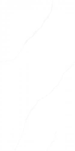 G126833_04