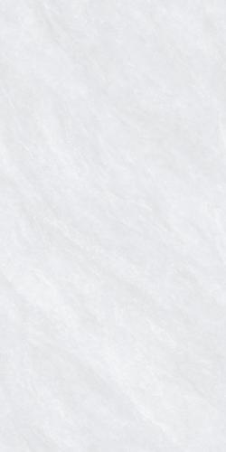 G126823