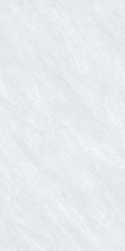 G126823