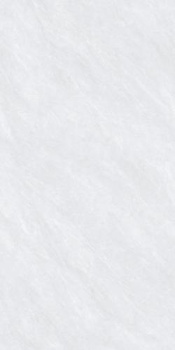 G126823