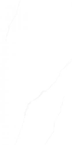 G136833