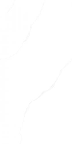 G136833