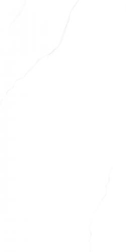 G136833