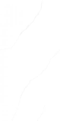 G136833