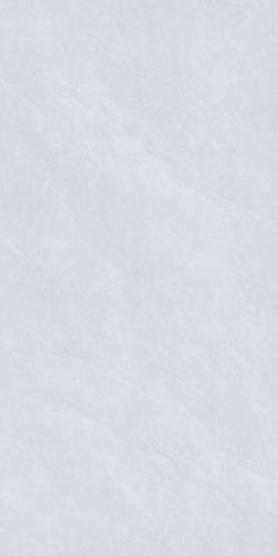 G126853