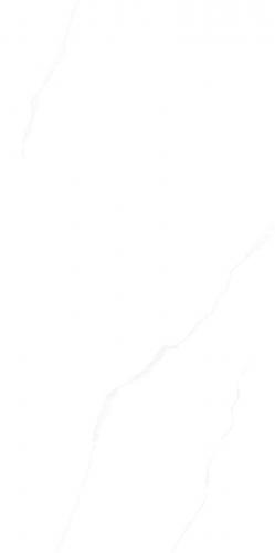 G136833_01