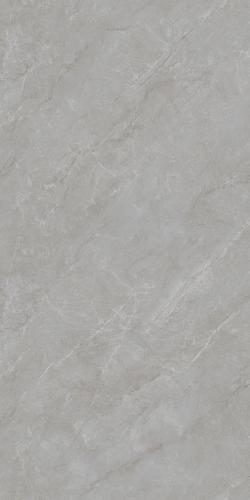 G136863L