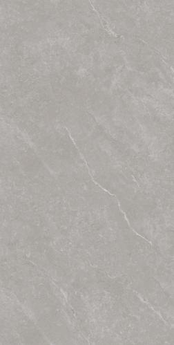 G136865L