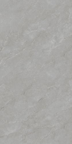 G136863L