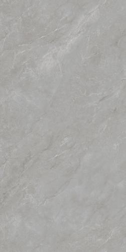 G136863L